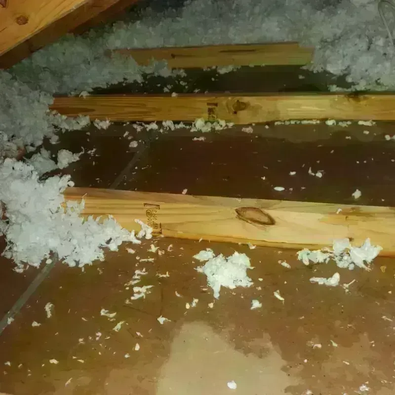 Attic Water Damage in Tomball, TX