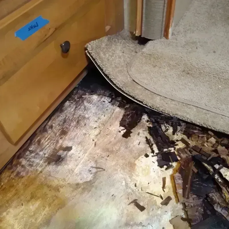 Best Wood Floor Water Damage Service in Tomball, TX